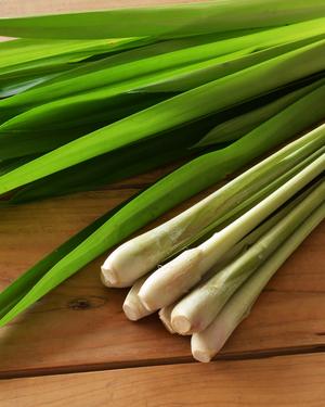Lemongrass Smooth and Silky Lotion