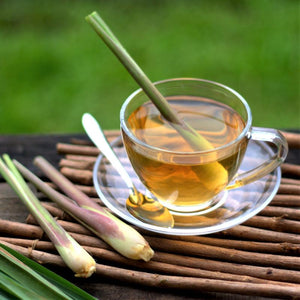 Lemongrass Smooth and Silky Lotion